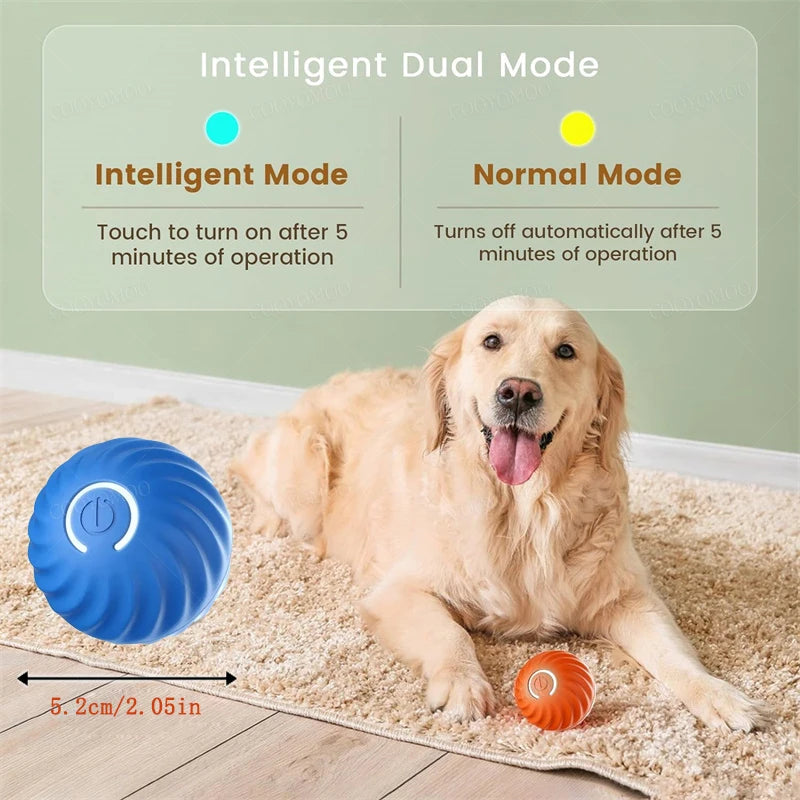 Interaktiver USB Spielball für Hunde & Katzen