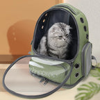 Transparenter Katzen Rucksack mit Sichtfenster