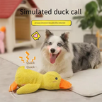 Interaktive Plüsch-Ente für Hunde