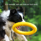 Robustes 4in1 Hundespielzeug Set