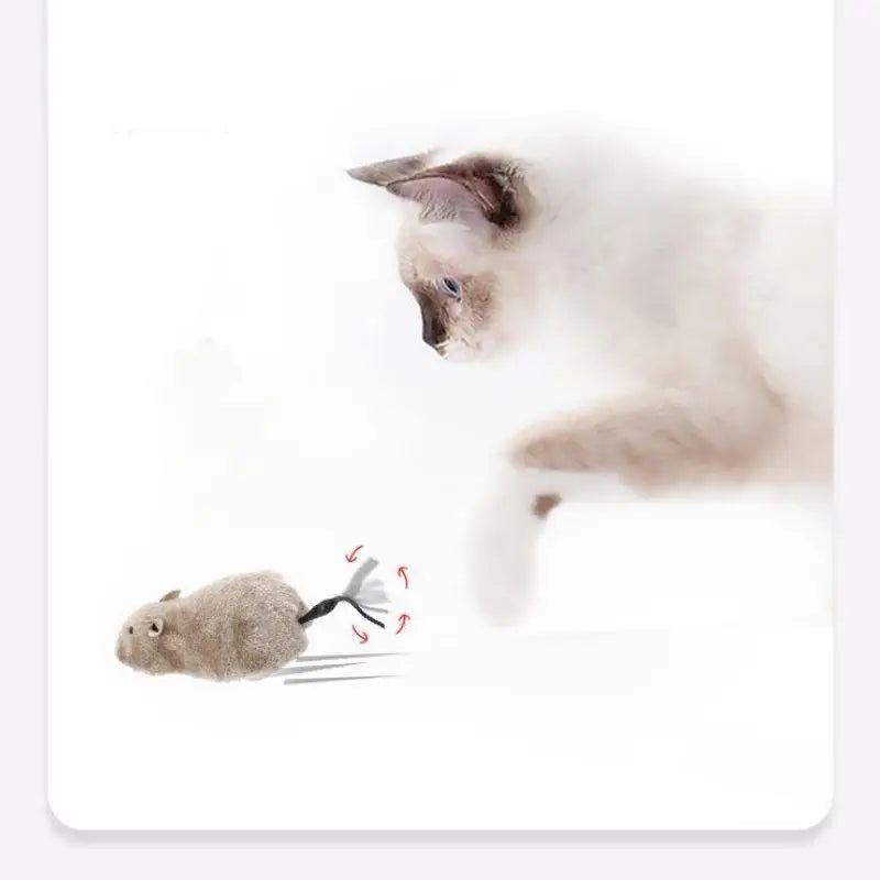 Realistische Plüsch Maus für Katzen