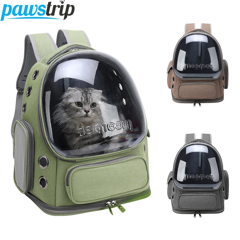 Transparenter Katzen Rucksack mit Sichtfenster