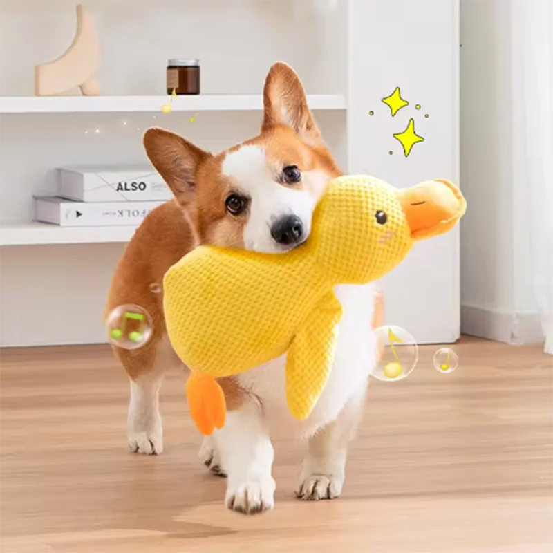 Interaktive Plüsch-Ente für Hunde