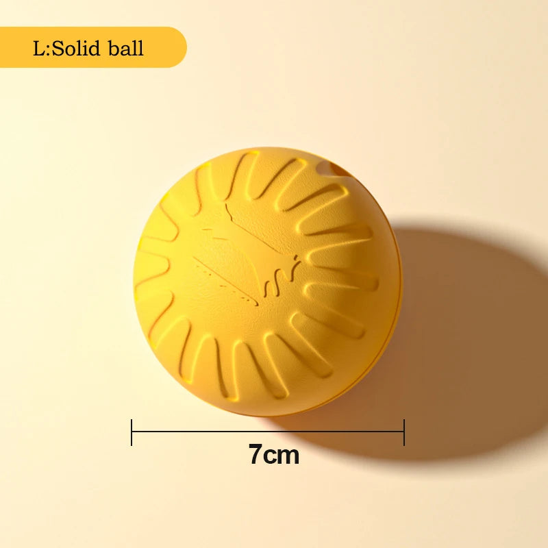 Robustes 4in1 Hundespielzeug Set