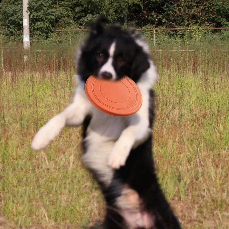 Silikon Hund Frisbee – Robuste Wurfscheibe