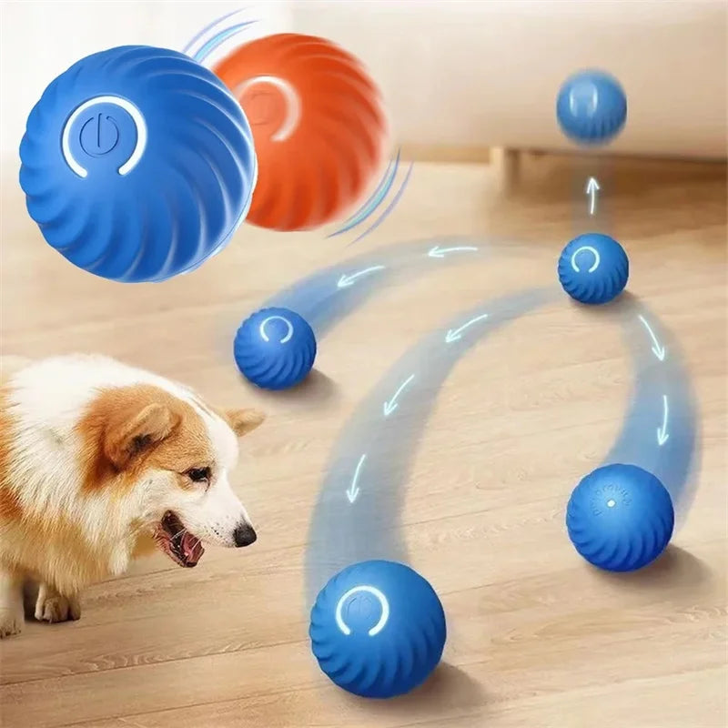 Interaktiver USB Spielball für Hunde & Katzen