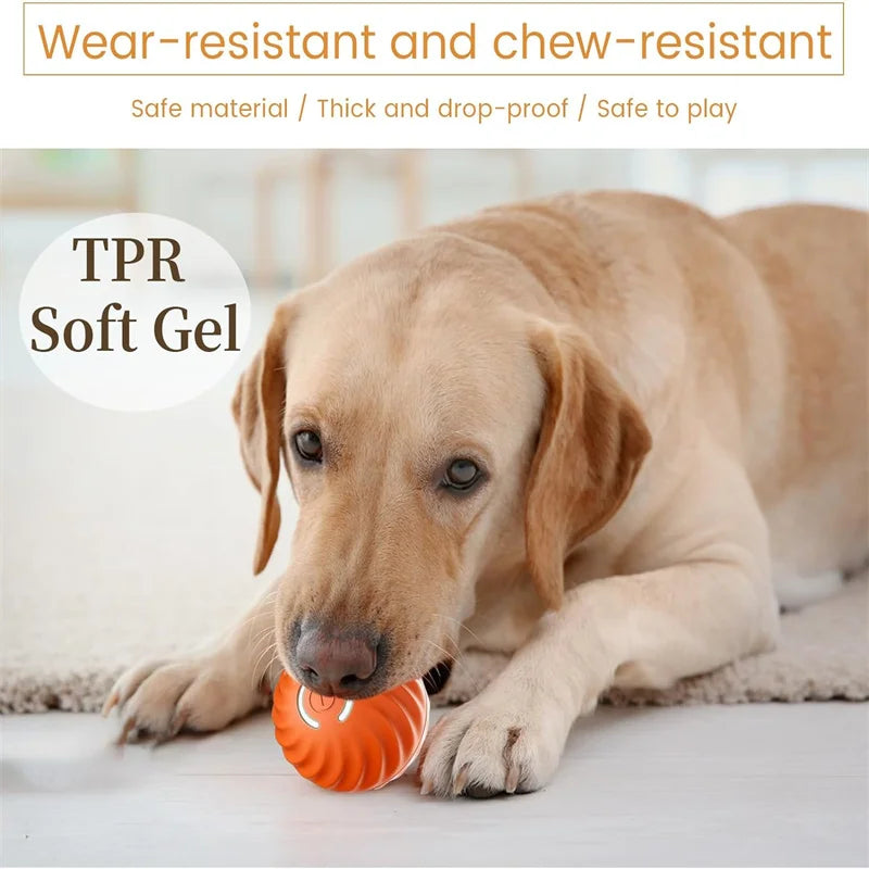 Interaktiver USB Spielball für Hunde & Katzen
