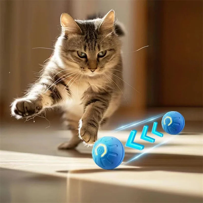 Interaktiver USB Spielball für Hunde & Katzen