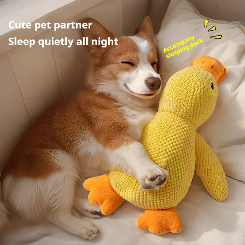 Plüsch Quietscheente für Hunde