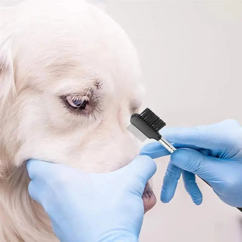 Tränenflecken Entferner Kamm für kleine Hunde & Katzen