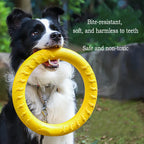 Robustes 4in1 Hundespielzeug Set