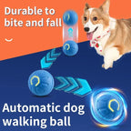 Interaktiver USB Spielball für Hunde & Katzen