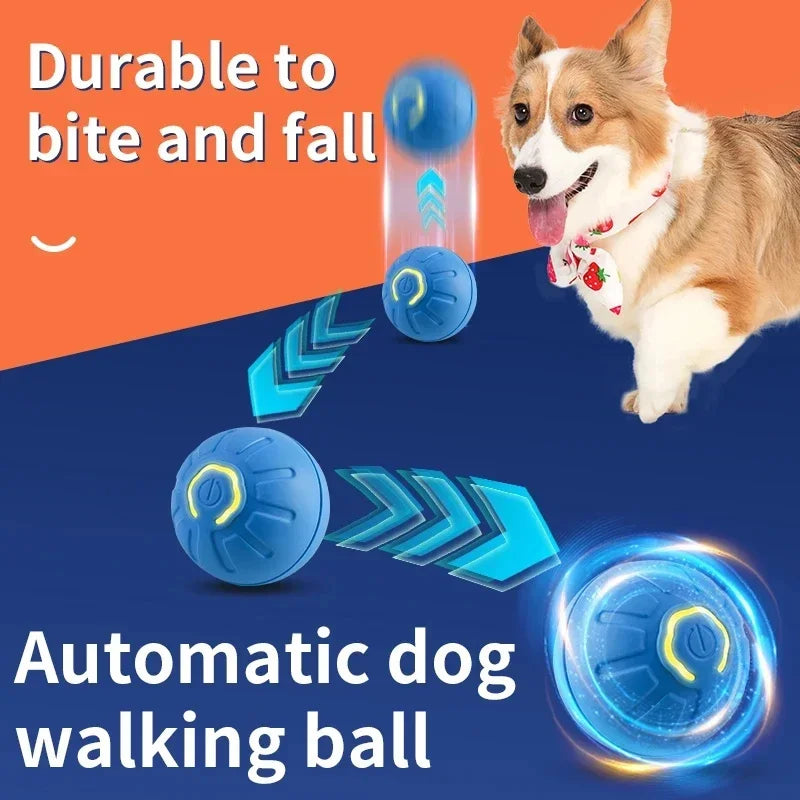 Interaktiver USB Spielball für Hunde & Katzen