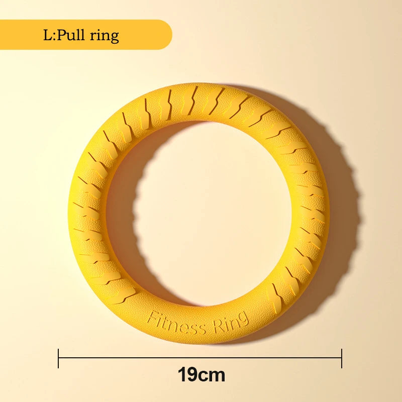 Robustes 4in1 Hundespielzeug Set