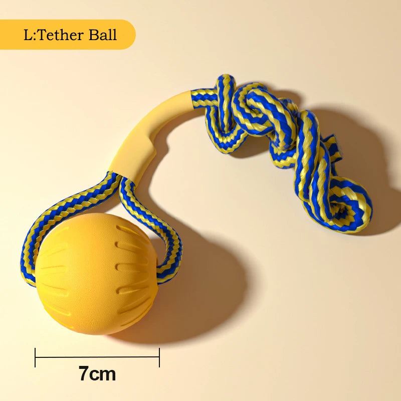 Robustes 4in1 Hundespielzeug Set