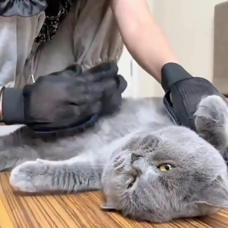 Silikon Fellpflege-Handschuh für Hunde & Katzen