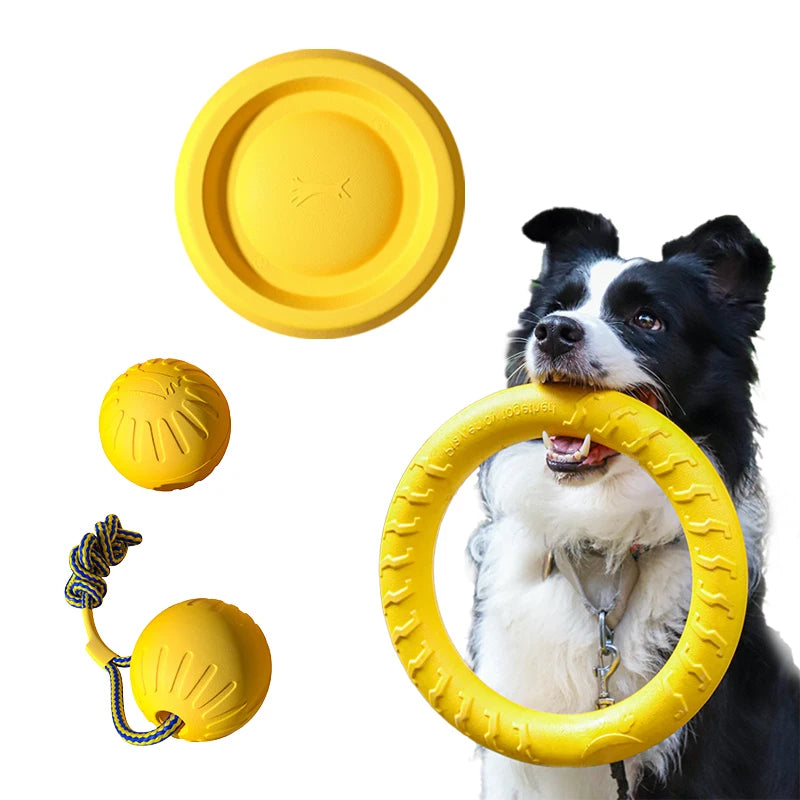 Robustes 4in1 Hundespielzeug Set