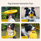 Robustes 4in1 Hundespielzeug Set