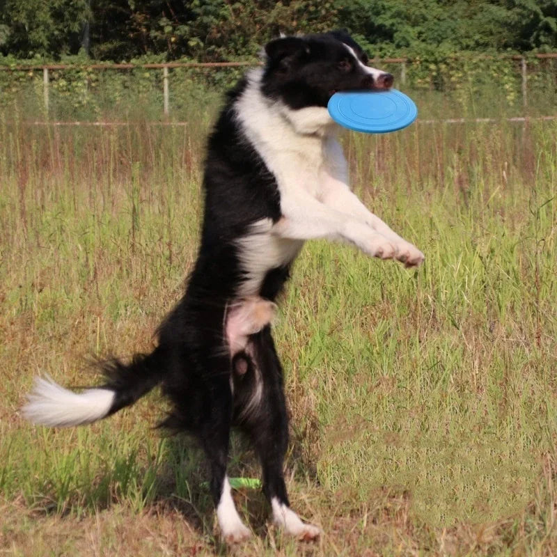 Silikon Hund Frisbee – Robuste Wurfscheibe